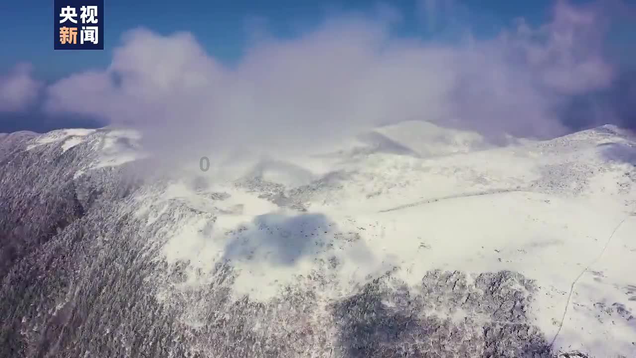 拿下微博年度汽车大选“年度燃油车型”！新途岳凭什么能赢？