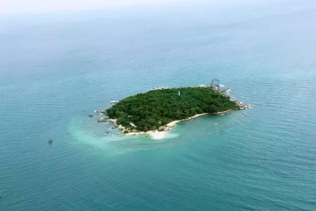 杜海涛牵手沈梦辰甜蜜逛街,发量稀疏脸长黄斑状态好差